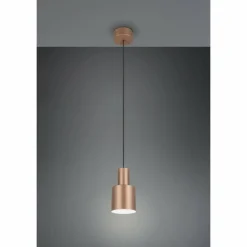 Luminaires Trio Agudo Suspension Brun, 1 lumière* Suspensions