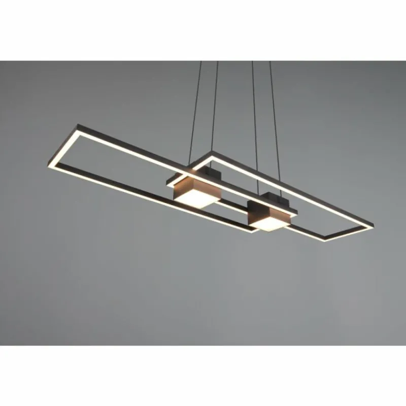 Luminaires Trio ALBANY Suspension LED Noir, 1 lumière, Télécommandes* Éclairage Led