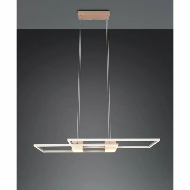 Luminaires Trio ALBANY Suspension LED Brun, 1 lumière, Télécommandes* Éclairage Led