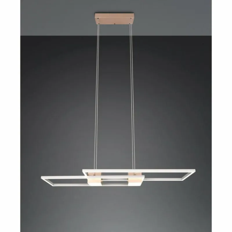 Luminaires Trio ALBANY Suspension LED Brun, 1 lumière, Télécommandes* Éclairage Led