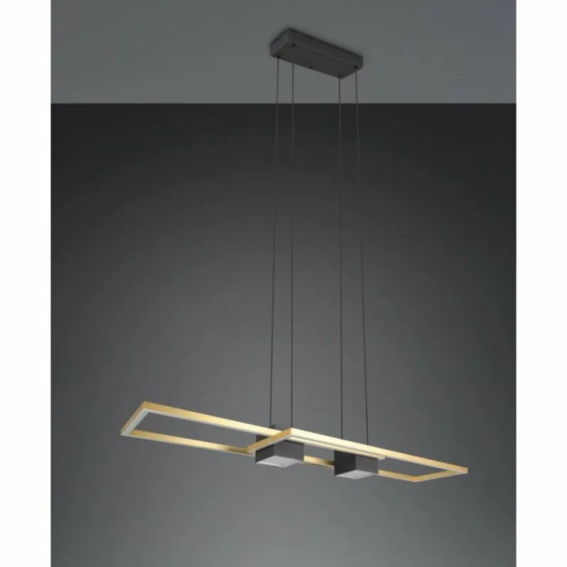 Lampes Dorées-Luminaires Trio ALBANY Suspension LED Noir doré, 1 lumière, Télécommandes