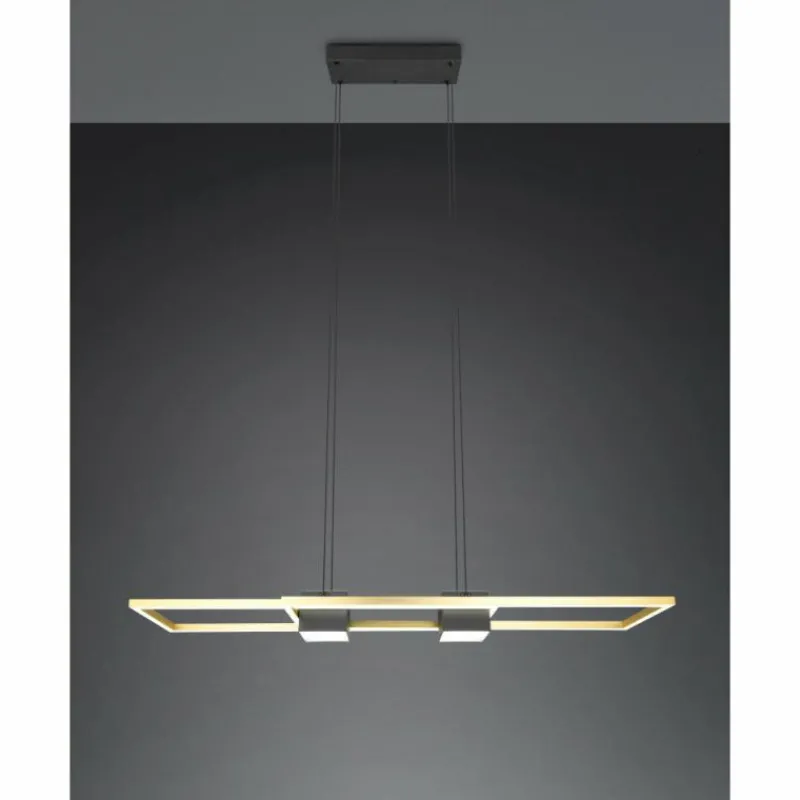 Lampes Dorées-Luminaires Trio ALBANY Suspension LED Noir doré, 1 lumière, Télécommandes