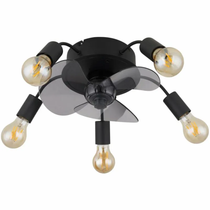 Luminaires Globo Lighting Alisha Ventilateur de plafond lumineux Noir, 5 lumières, Télécommandes