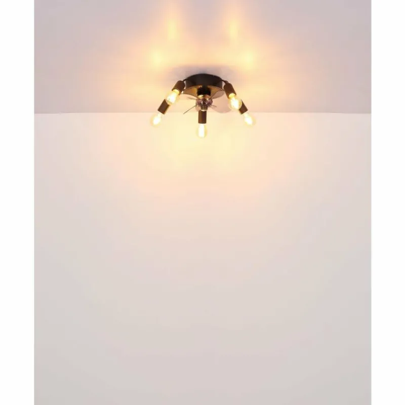 Luminaires Globo Lighting Alisha Ventilateur de plafond lumineux Noir, 5 lumières, Télécommandes