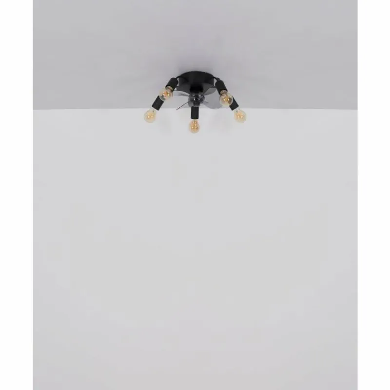 Luminaires Globo Lighting Alisha Ventilateur de plafond lumineux Noir, 5 lumières, Télécommandes