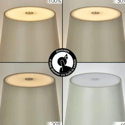 hofstein Allen Lampe de table d'extérieur, Lampe à poser LED Gris, Vert, 1 lumière