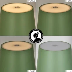 hofstein Allen Lampe de table d'extérieur, Lampe à poser LED Vert, 1 lumière