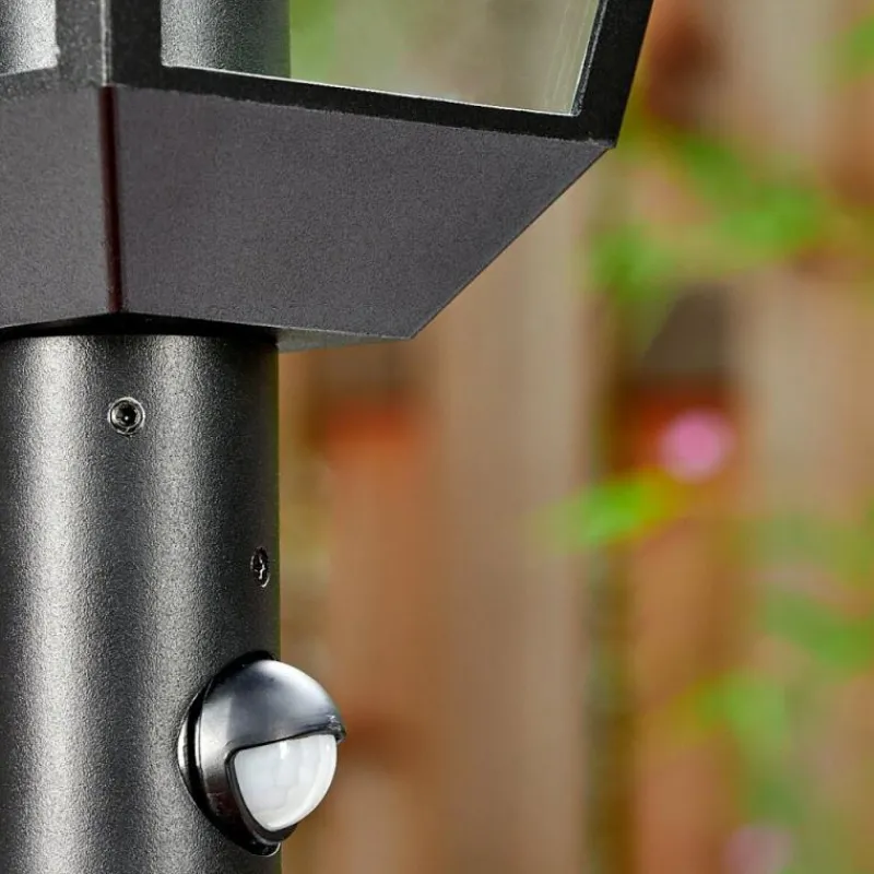 Luminaires Rustiques-hofstein Anfei Luminaire extérieur, Eclairage de chemin Noir, 1 lumière, Détecteur de mouvement