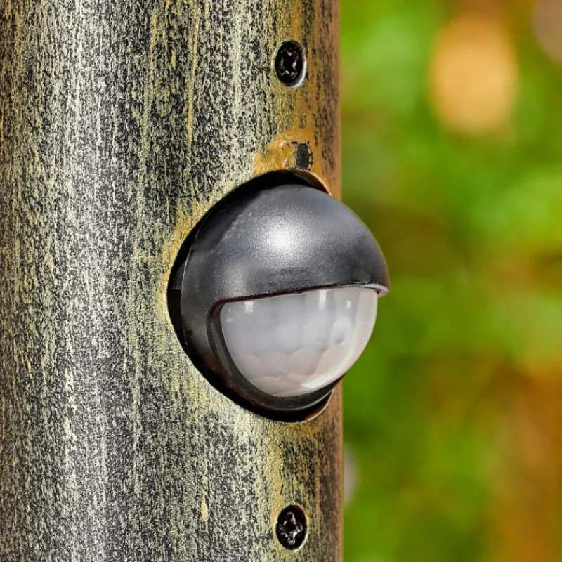 Luminaires Rustiques-hofstein Anfei Luminaire extérieur, Eclairage de chemin Brun, Or, 1 lumière, Détecteur de mouvement