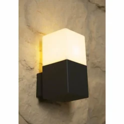 Luminaires Trio applique extérieure Trio HUDSON Noir, 1 lumière