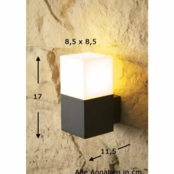 Luminaires Trio applique extérieure Trio HUDSON Noir, 1 lumière