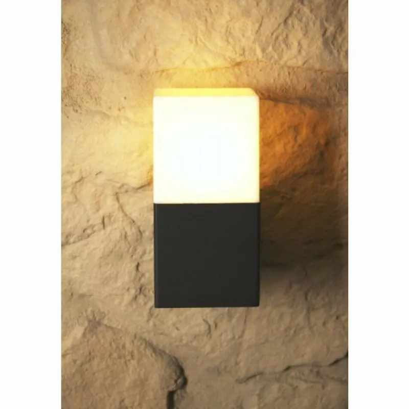 Luminaires Trio applique extérieure Trio HUDSON Noir, 1 lumière