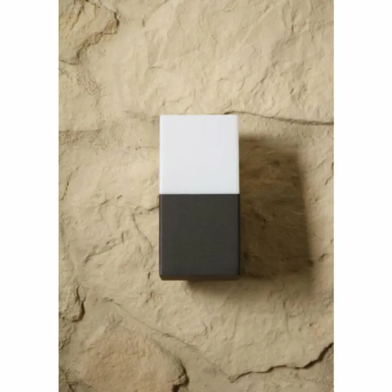 Luminaires Trio applique extérieure Trio HUDSON Noir, 1 lumière