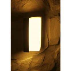 Luminaires Trio applique extérieure Trio SUEZ LED Noir, 1 lumière