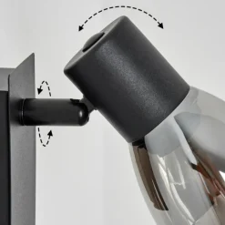 Suspension Verre Fumé-hofstein Applique murale Murianette Noir, 1 lumière