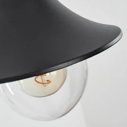 Luminaires Rustiques-hofstein Applique murale d'extérieur Elgin Noir, 1 lumière