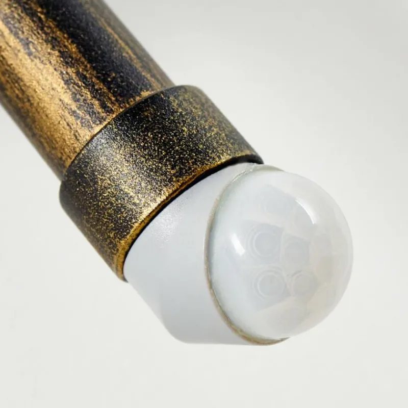 Lampes Dorées-hofstein Applique murale d'extérieur Borkan Brun doré, 1 lumière, Détecteur de mouvement