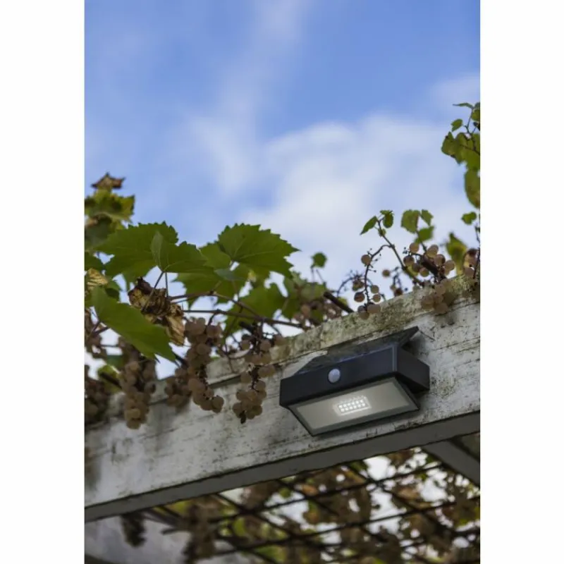 Luminaires Lutec Applique murale d'extérieur Lutec Arrow LED Anthracite, 1 lumière, Détecteur de mouvement