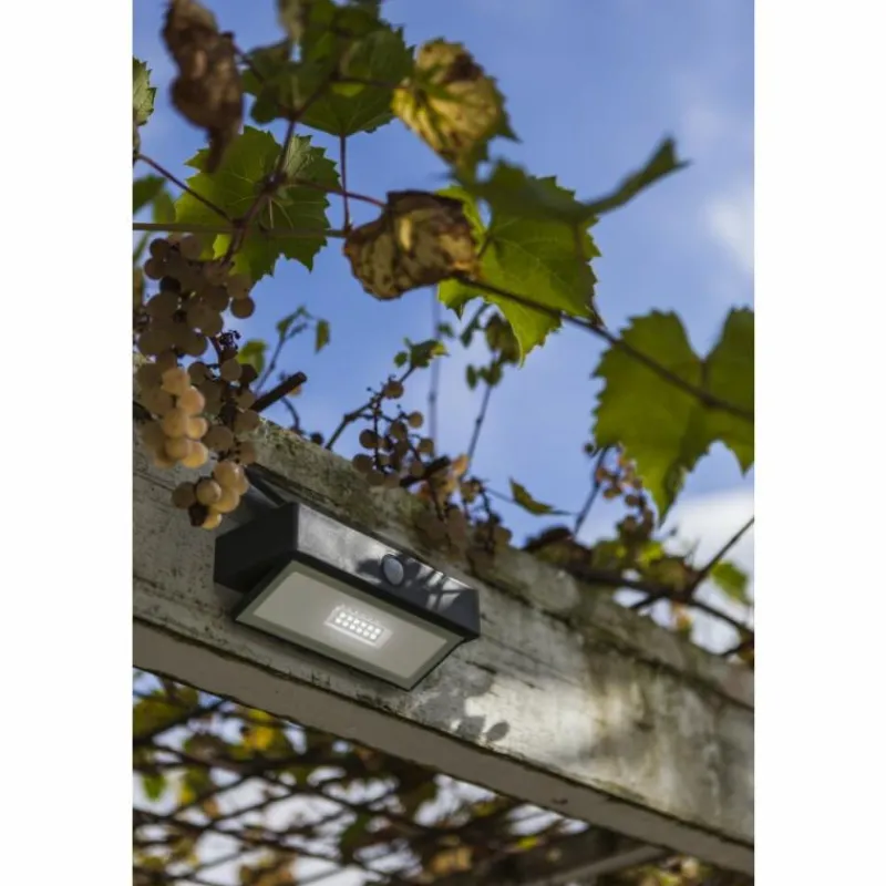 Luminaires Lutec Applique murale d'extérieur Lutec Arrow LED Anthracite, 1 lumière, Détecteur de mouvement