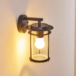 hofstein Applique murale d'extérieur Aigle Noir, 1 lumière