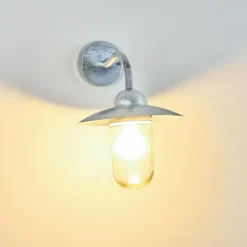 hofstein Applique murale d'extérieur Maidiswil Argenté, 1 lumière