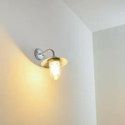 hofstein Applique murale d'extérieur Maidiswil Argenté, 1 lumière