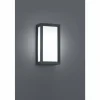 Luminaires Trio Applique murale d'extérieur Trio TIMOK Anthracite, 1 lumière