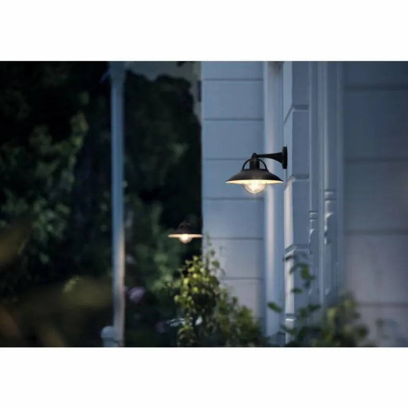 Luminaires Philips Applique murale d'extérieur Philips Cormorant Noir, 1 lumière