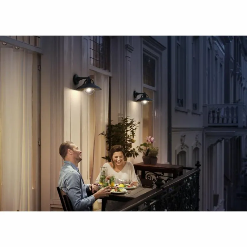 Luminaires Philips Applique murale d'extérieur Philips Cormorant Noir, 1 lumière