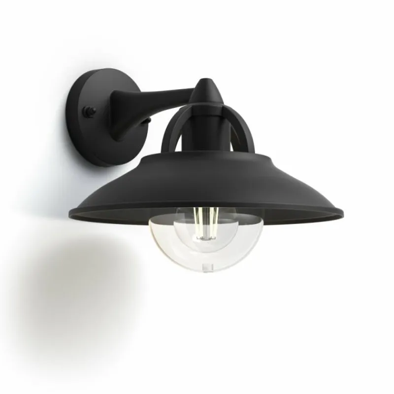 Luminaires Philips Applique murale d'extérieur Philips Cormorant Noir, 1 lumière