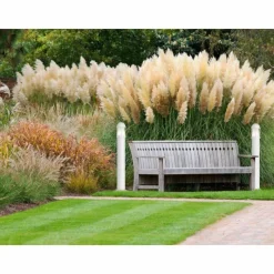 Luminaires LCD Applique murale d'extérieur LCD Celle Blanc, 1 lumière