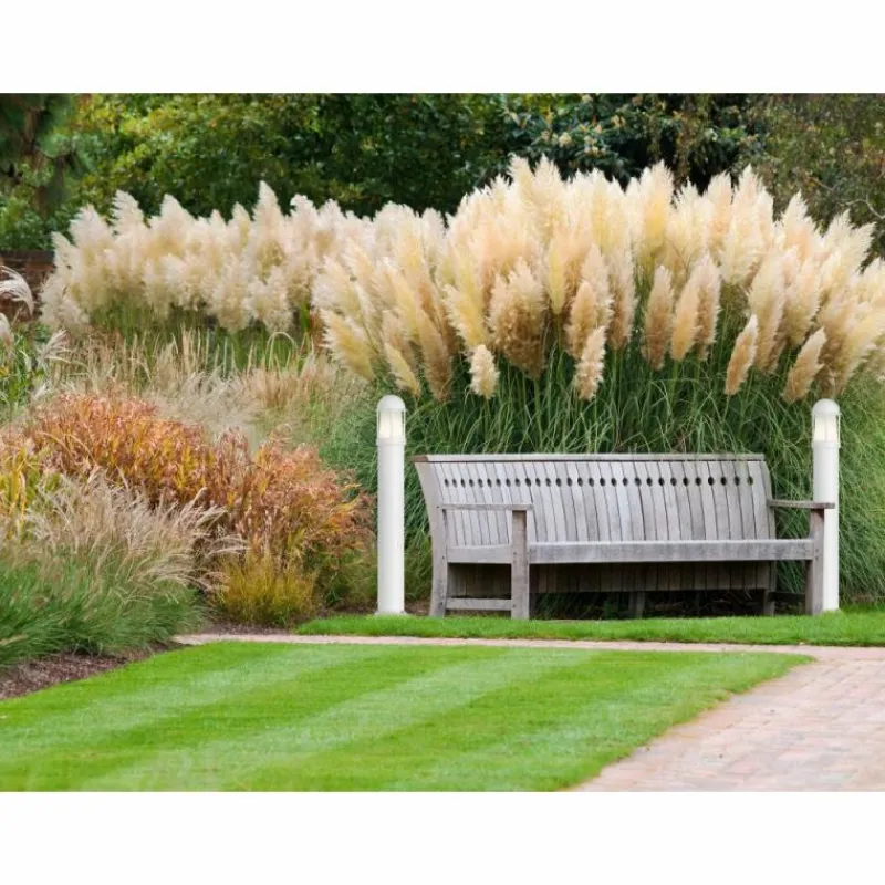 Luminaires LCD Applique murale d'extérieur LCD Celle Blanc, 1 lumière