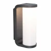 Luminaires Lutec Applique murale d'extérieur Lutec ADALYN LED Anthracite, 1 lumière