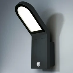 Luminaires Ledvance Applique murale d'extérieur LEDVANCE ENDURA Noir, 1 lumière, Détecteur de mouvement