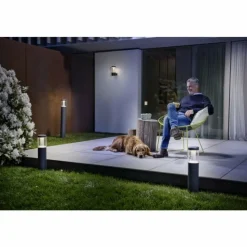 Luminaires Ledvance Applique murale d'extérieur LEDVANCE ENDURA Noir, 1 lumière