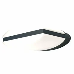 Luminaires Ledvance Applique murale d'extérieur LEDVANCE ENDURA Noir, 1 lumière