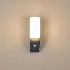 hofstein Applique murale d'extérieur Porus LED Anthracite, 1 lumière, Détecteur de mouvement