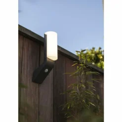 Luminaires Lutec Applique murale d'extérieur Lutec BATI LED Anthracite, 1 lumière, Détecteur de mouvement