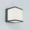 Luminaires Lutec Applique murale d'extérieur Lutec TELIN Anthracite, 1 lumière