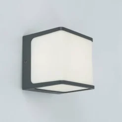Luminaires Lutec Applique murale d'extérieur Lutec TELIN Anthracite, 1 lumière