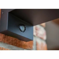 Luminaires Lutec Applique murale d'extérieur Lutec Flair Noir, 1 lumière, Détecteur de mouvement