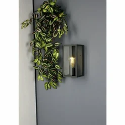 Luminaires Lutec Applique murale d'extérieur Lutec Mirage Anthracite, 1 lumière