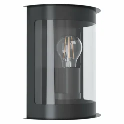 Luminaires Eglo Applique murale d'extérieur Eglo DARIL Noir, 1 lumière