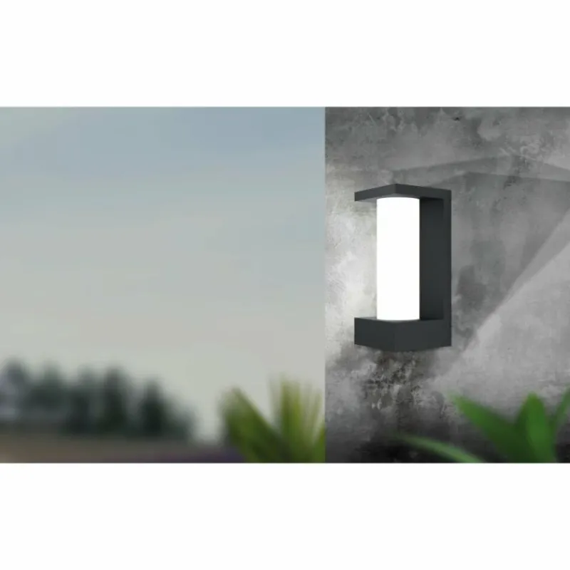 Luminaires Eglo Applique murale d'extérieur Eglo CIVIDINO LED Noir, 1 lumière