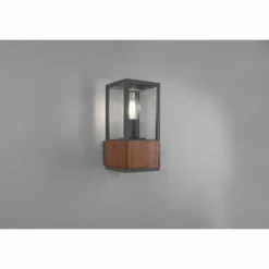 Lampes En Bois-Luminaires Trio Applique murale d'extérieur Trio Garonne Bois foncé, Nickel mat, 1 lumière