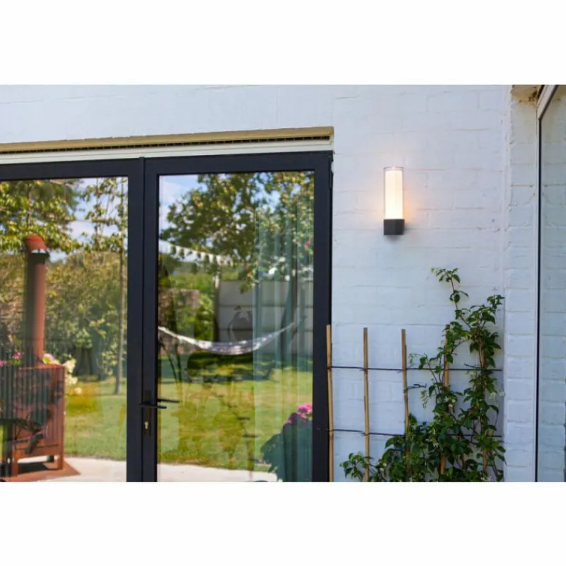 Luminaires Lutec Applique murale d'extérieur Lutec DROPA LED Anthracite, 1 lumière, Changeur de couleurs