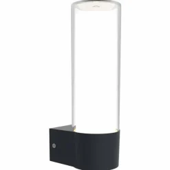 Luminaires Lutec Applique murale d'extérieur Lutec DROPA LED Anthracite, 1 lumière, Changeur de couleurs