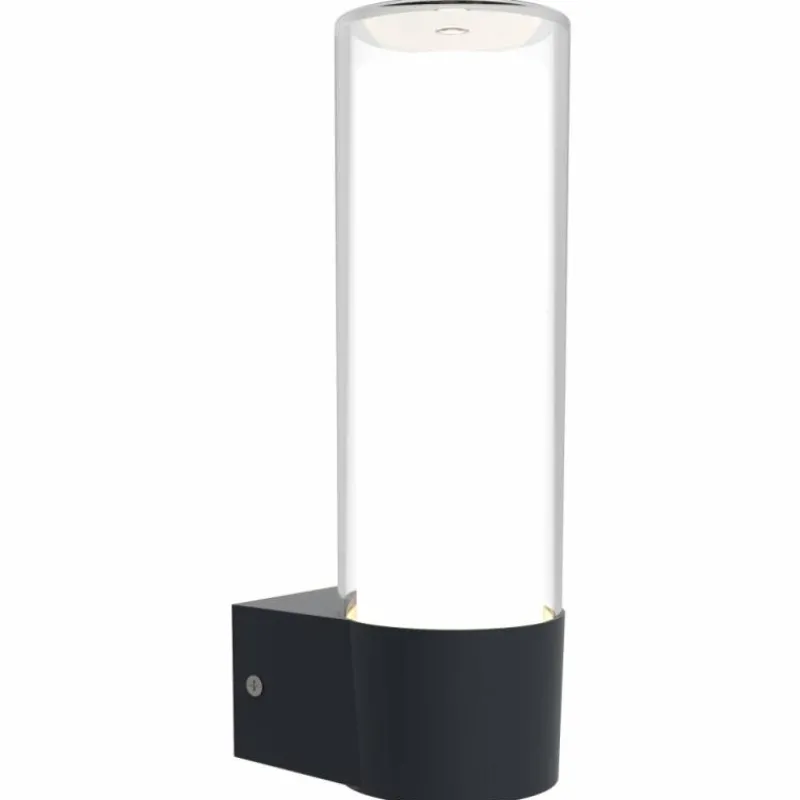 Luminaires Lutec Applique murale d'extérieur Lutec DROPA LED Anthracite, 1 lumière, Changeur de couleurs