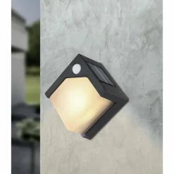 Luminaires Globo Lighting Applique murale d'extérieur Globo Solar LED Noir, 8 lumières, Détecteur de mouvement