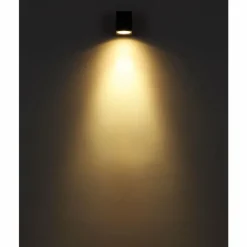 Luminaires Globo Lighting Applique murale d'extérieur Globo VERONIKA Anthracite, 1 lumière